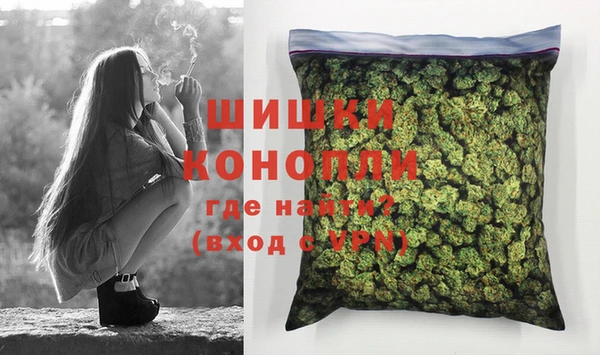 стафф Кодинск
