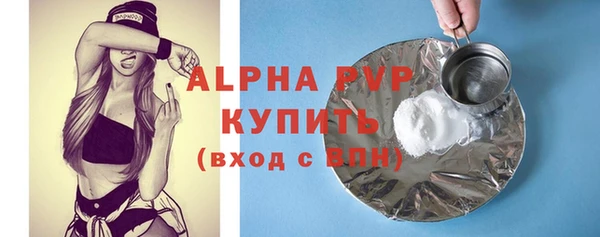 стафф Кодинск