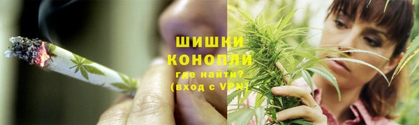 стафф Кодинск