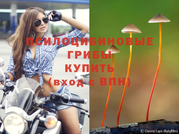 a pvp Козельск