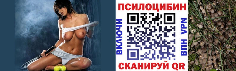Псилоцибиновые грибы прущие грибы  Купить где  Зверево 