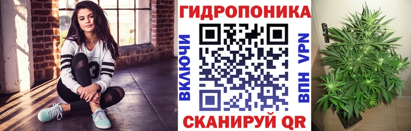 Бошки Шишки сатива  Купить где  Зверево 